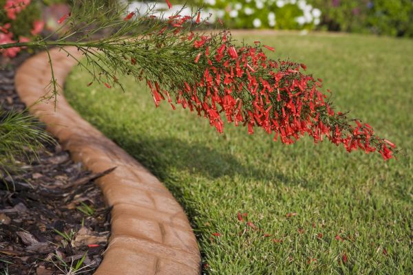 Brick Edging in Xenia