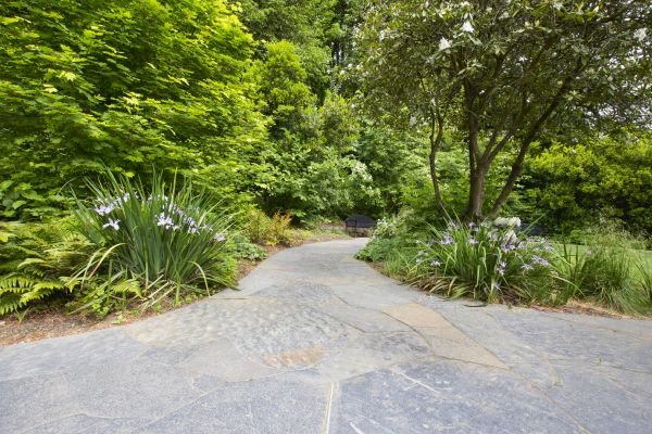 Stone Hardscape Service in Xenia